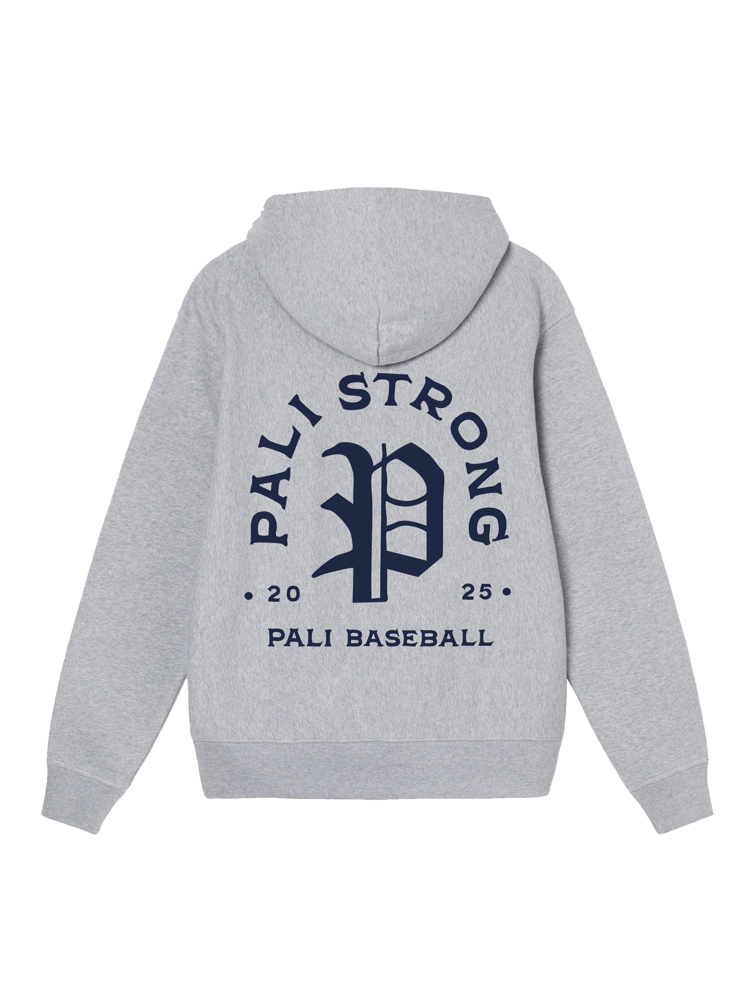 Palistronghoodeback_a045bf06-1501-4a09-a8af-0a8fd1da085e.jpg