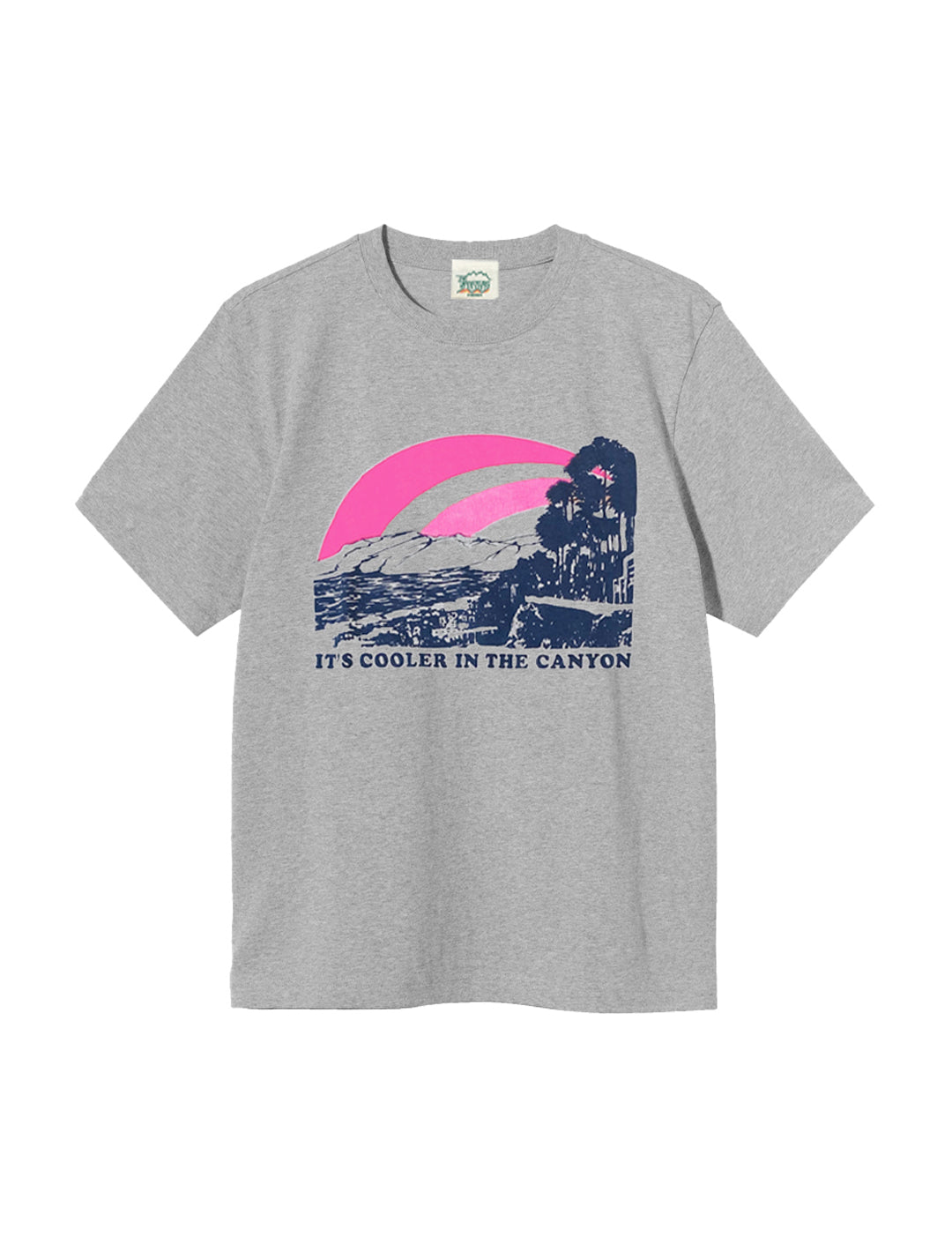 cooler_in_the_canyon_grey_tee.jpg